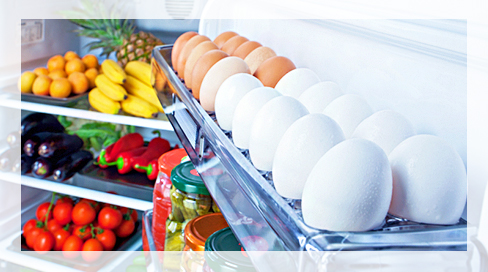 Refrigerator Repair in Ottawa, ON